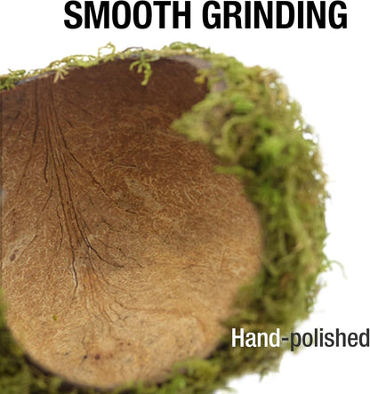 Hamster Hideaway/Hideout,Mossy Cave Hide,Hamster House/Hides,Hamster Cage Accessories for Gguinea Pig/Hedgehogs/Gliders/Rats/Mice and Other Small Animals (Small)