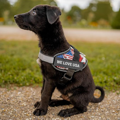 Personalized Dog Harness with Custom Name Patches, Adjustable Reflective No Choke Dog Vest with Handle for XXL Dog, US Flag, 2XL