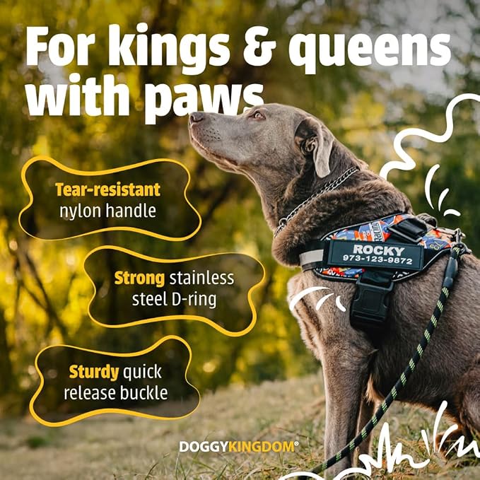 Personalized Dog Harness with Custom Name Patches, Adjustable Reflective No Choke Dog Vest with Handle for Small Dogs and Growing Puppy, US Flag, XS