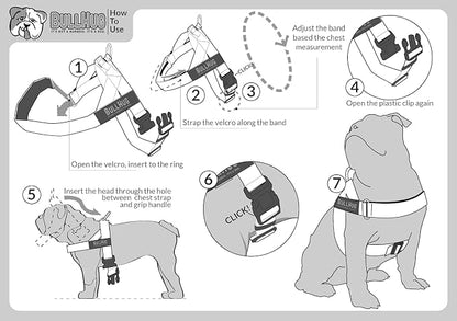 Adjustable Dog Harness– No Pull, No Choke – for English Bulldogs, French Bulldogs, Pugs & Broad-Chested Breeds – Easy, Safe Walks (Taco, Medium)