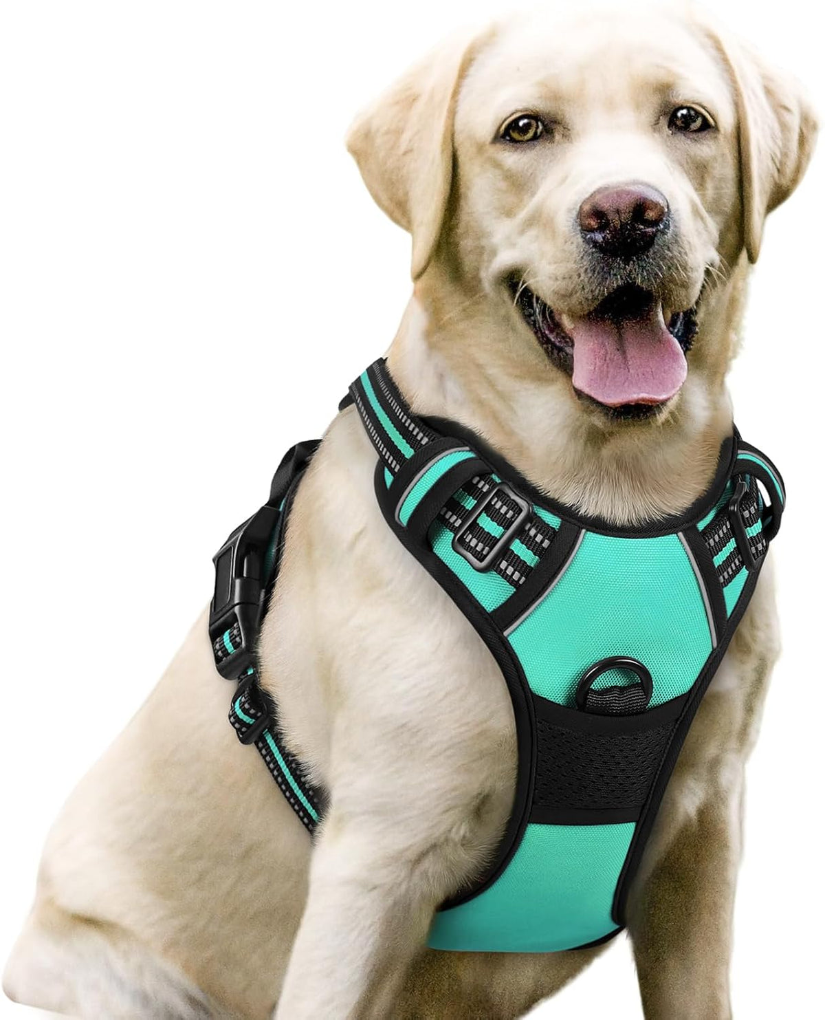 rabbitgoo Dog Harness No Pull with 2 Leash Clips, Adjustable Soft Padded, Reflective Oxford No Choke Pet Vest with Easy Control Handle for Large Dogs, Turquoise, L