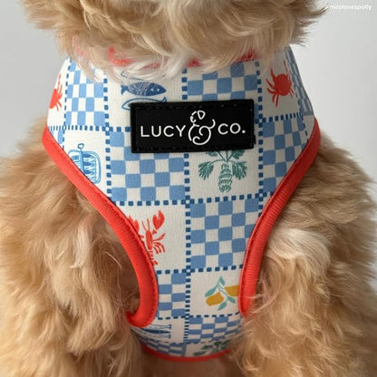 Lucy & Co. Sunny in Sicily Reversible Dog Harness, Adjustable Comfort Fit with Dual Leash Attachments, Medium