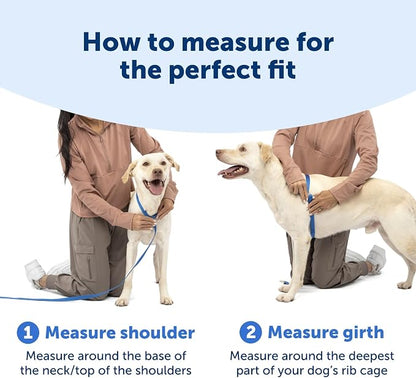 PetSafe Easy Walk Comfort No Pull Dog Harness, Green Gringham, Extra Small | Stops Pulling on First Use with Front Martingale Loop, Padded Comfort, 5-Point Adjustable Fit
