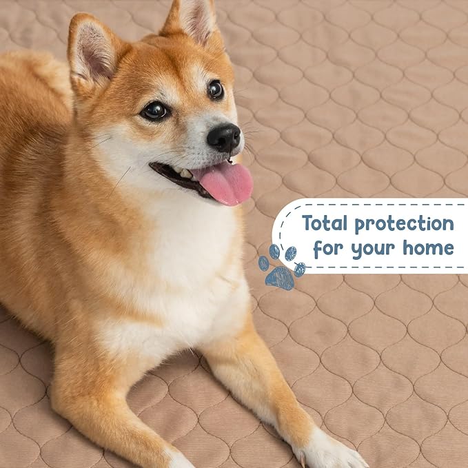 Reusable Dog Pee Pads - Waterproof Training Pads for Dogs - Washable & Sanitary - Rounded Corners - Laminated, Lightweight, Durable - Pet Essentials for Puppy Training and Whelping - 72" x 72"