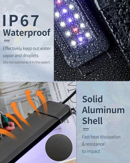Pawfly 6 W Terrarium Light for 6" to 10" Terrariums Extendable Reptile Tank Light with Full Spectrum Brilliant White Blue Red Lights with Day & Night Modes and Adjustable Brightness