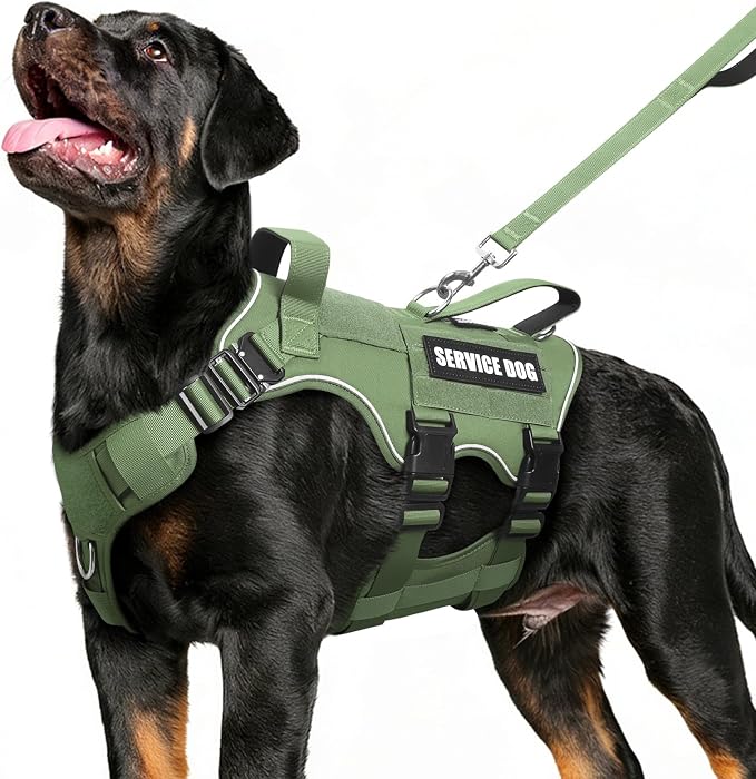 Service Dog in Training Vest and Leash Set with 10 Patches,Heavy Duty Tactical Dog Harness with Metal Buckles for Medium Sized Dogs,No Pull Easy Walking for Training Working Hiking,Green M