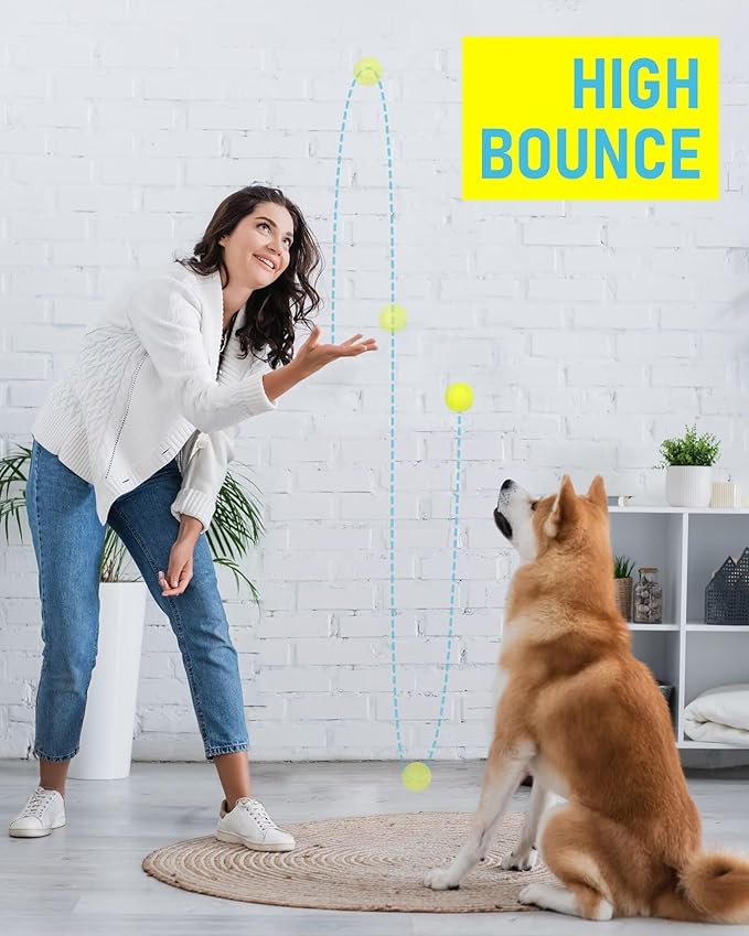 Prime Pets Tennis Balls for Dogs, Non-Squeak, 12 Pack, Thick Bouncy Dog Balls, Dog Toy Balls for Indoor Outdoor Play, Fetch Toys for Medium, Large Dogs