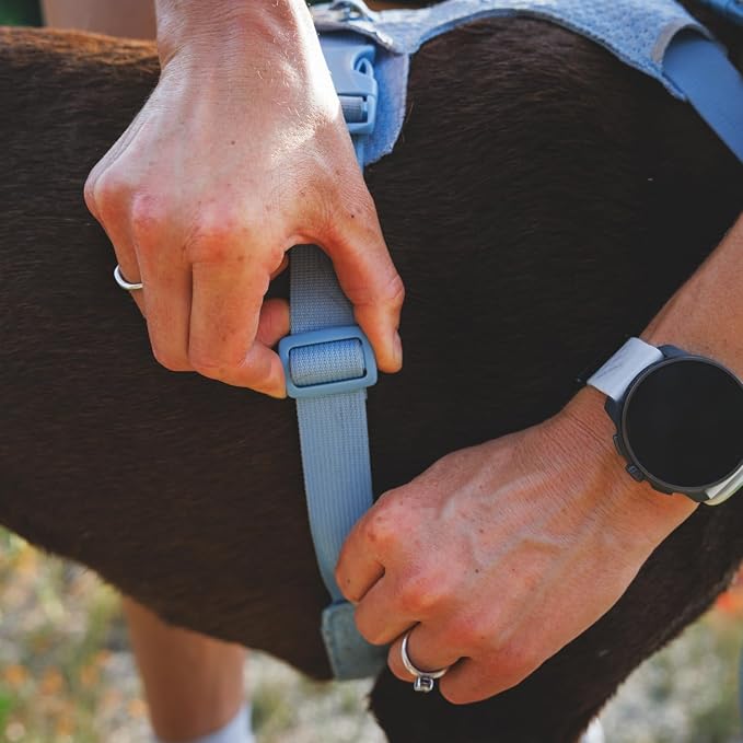 Ruffwear, Front Range Flex Dog Harness, Engineered Knit Construction for Ultimate Fit and Mobility, Lightweight Flexible Everyday Harness with Dual Leash Clips, Deep Teal, X-Small