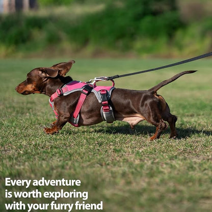 Escape Proof Dog Harness, Dachshund Harness, Reflective Dog Harness with Handle, Durable,Adjustable Vest for Small Medium Large Dogs Walking, Training, and Running Gear (Rose red,XL)