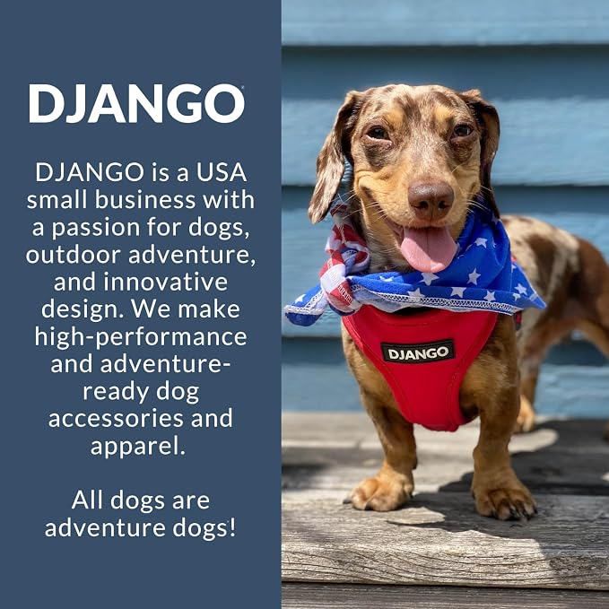 Adventure Dog Harness - Stylish Small Dog Harness for Outdoor Adventures and Everyday Wear - Dandelion Yellow Neoprene Adjustable Harness for Dogs with Reflective Piping and Solid Brass D-Ring