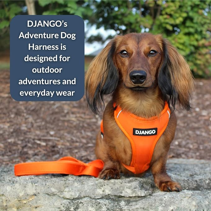 Adventure Dog Harness - Stylish, & Durable Medium Dog Harness for Outdoor Adventures and Everyday Wear - Sunset Orange Neoprene Adjustable Harness for Dogs with Reflective Piping & Brass D-ring