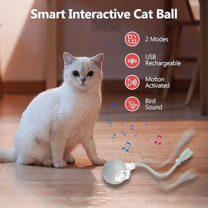Interactive Cat Toys, Automatic Moving Cat Toy for Bored Indoor Adult Cats, Fast Rolling , Chirping & Motion-Activated Cat Toys, Fun Gift for Cats with Speedy Tail 2.0, USB Rechargeable(gray)