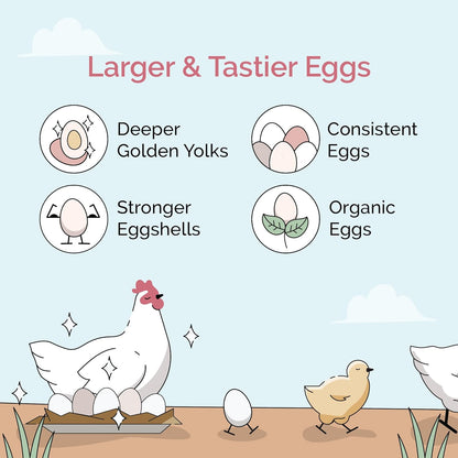 Chick Grit for Baby Chicks - Chickens Age 0-8 Weeks, 100% Natural Mineral Chick Grit Quartzite, Poultry Grit Digestive Aid, USA Mined, 4 lbs