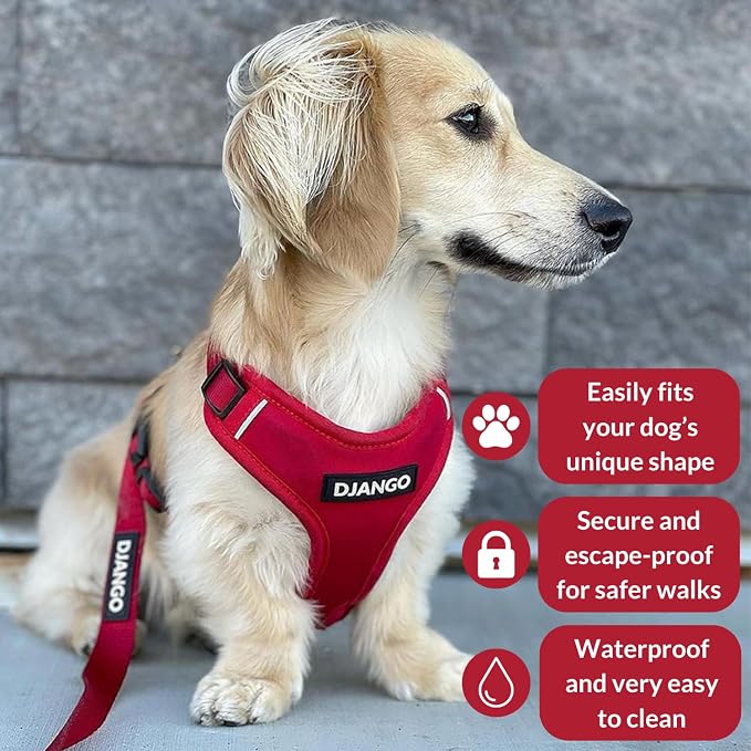 Adventure Dog Harness - Stylish and Durable Small Dog Harness for Outdoor Adventures and Everyday Wear - Red Neoprene Adjustable Harness for Dogs with Reflective Piping, Solid Brass D-Ring