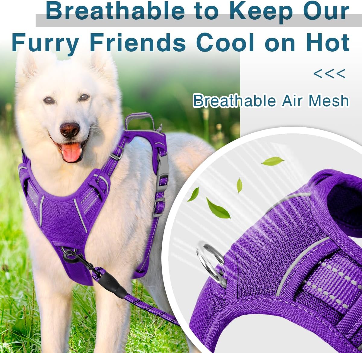 BARKBAY Dog Harness No Pull with ID Tag Pocket - Heavy Duty, Reflective, Easy Control for Large Dogs(Purple,L)
