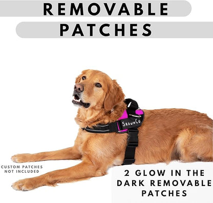 ShawnCo Essential Pro Dog Harness, No-Pull Pet Vest with 3 Leash Clips and Removable, Reflective Side Patches, Adjustable and Padded Harness for Small, Medium and Large Dogs (Electric Blue, M)