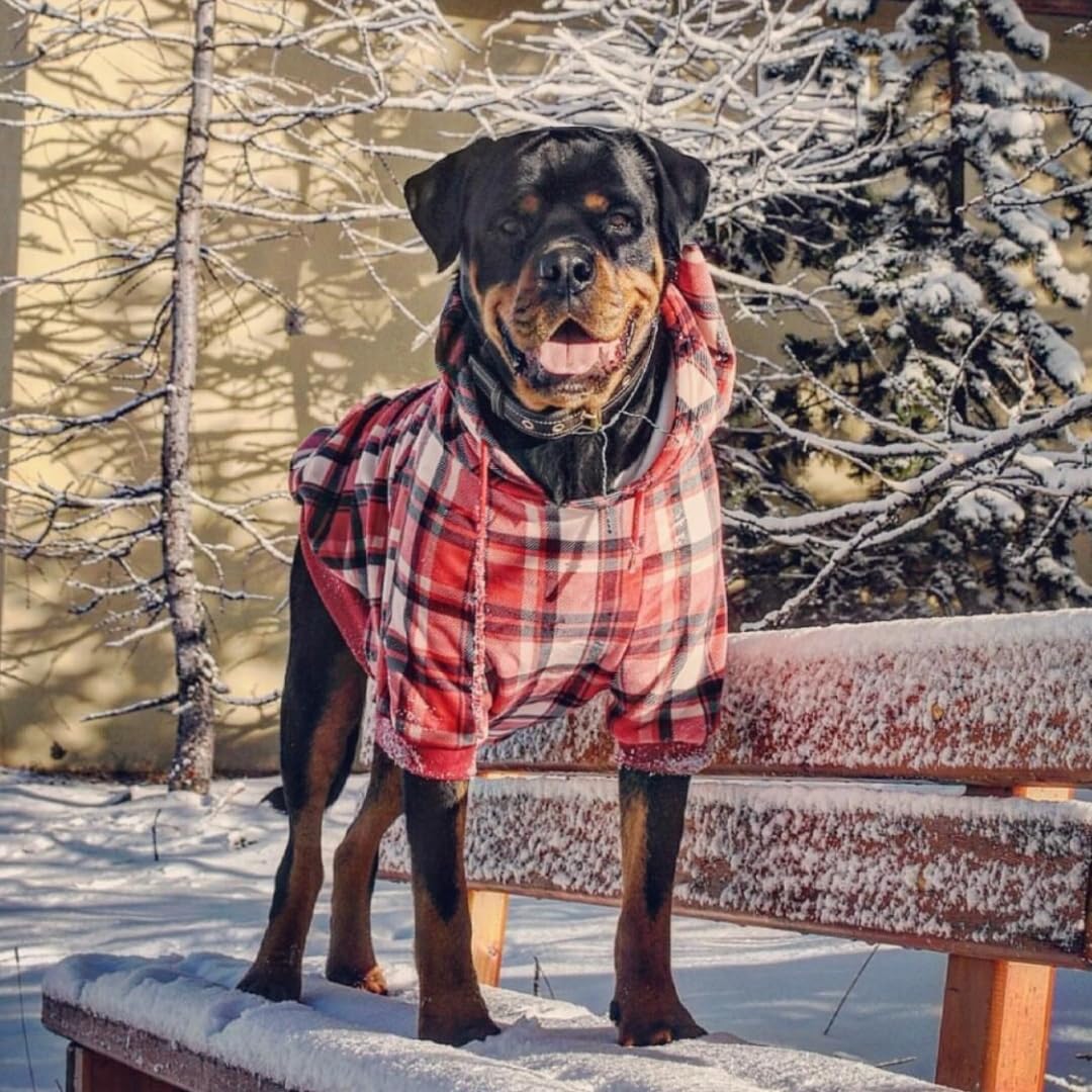 Spark Paws Dog Hoodie – Premium Dog Sweater for Small, Medium, and Large Dogs | Warm Outfits for French Bulldogs, Pitbull, Puppy, Winter Jacket Alternative - Red Plaid, XL