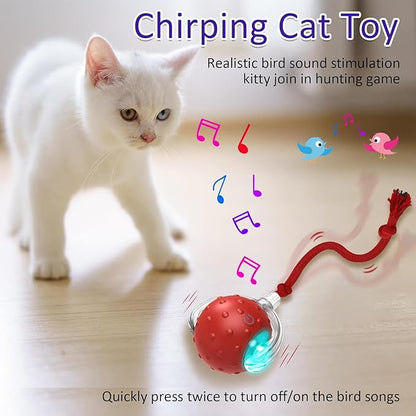 Interactive Cat Toys Ball for Indoor Cats Fast Rolling on Carpet, Chirping & Motion Activate Cat Toys