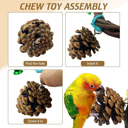 BNOSDM Bird Swing Rings Toy Natural Wood Parrot Climbing Ladder Parakeet Chewing Toys Hanging Budgie Cage Accessories for Green Cheek Conure Cockatiel Lovebird (Single Row 5 Rings)