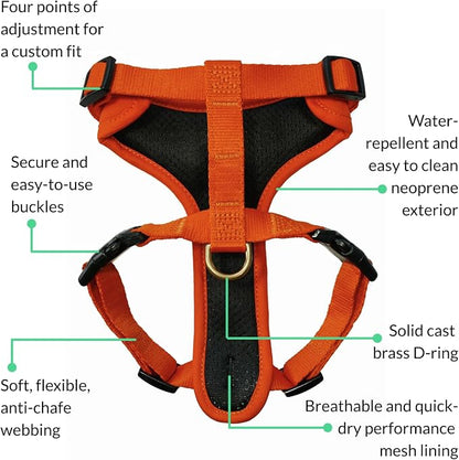 Adventure Dog Harness - Stylish, & Durable Medium Dog Harness for Outdoor Adventures and Everyday Wear - Sunset Orange Neoprene Adjustable Harness for Dogs with Reflective Piping & Brass D-ring