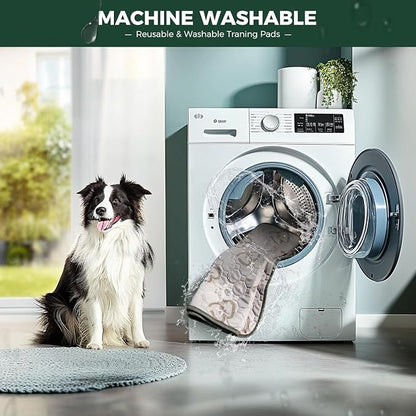 FXW Washable Pee Pads for Dogs, Super Absorbent, 35" Hexagon, 2 Packs | Machine washable, Non-slip backing, Fits 32"/40"/45"H 6-Panel FXW Rollick/Homeplus Playpens