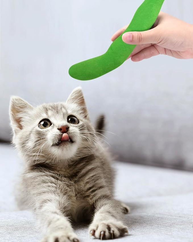 CiyvoLyeen Catnip Toy, Green Bean Cat Toys Kitten Supplies Interactive Kicker Vegetables Vegan Dental Health Teething Chew Gift for Cat Lovers Indoor 4PCS