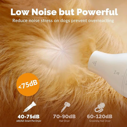 2 in 1 Grooming Kit for Pet-Dog Hair Dryer & Professional Grooming Brush for Frizzy Dog Hair Styling-1.21lb Lightweight Handhold Portable High Velocity Force Blower+4 Replacement Nozzle at Home Travel