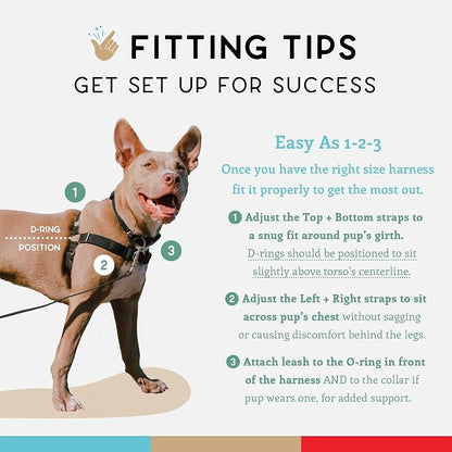 No Pull Dog Harness | Comfortable Training Harnesses | Effective No Pull Harness Design | Ideal for Large Sized Dog | 4-Point Adjustable(L - 26~32 inch Girth, Black)