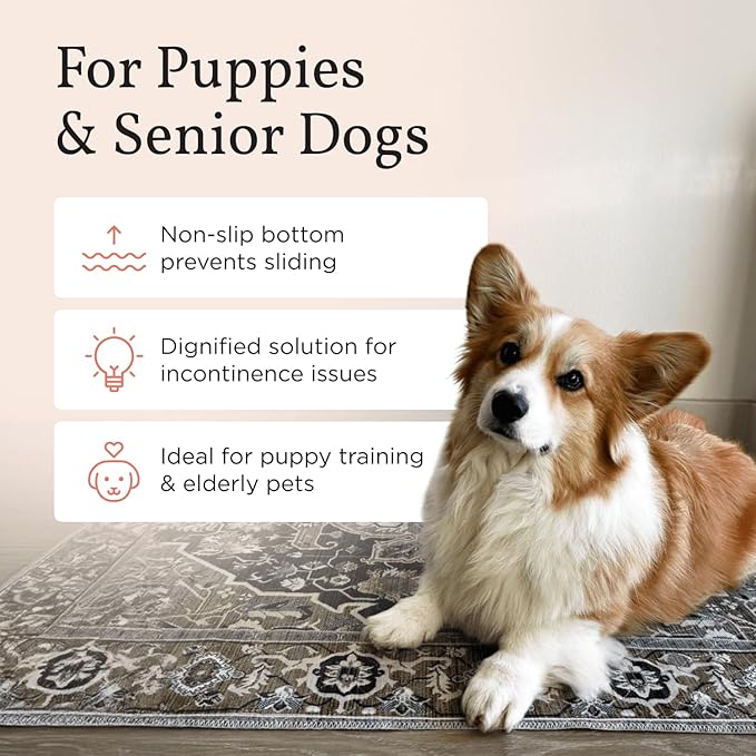 Washable Dog Pee Pads, 16" x 24", Waterproof, Non-Slip, Super Absorbent, Reusable Machine-Washable, 2-Pack (Marmalade Sunshine)