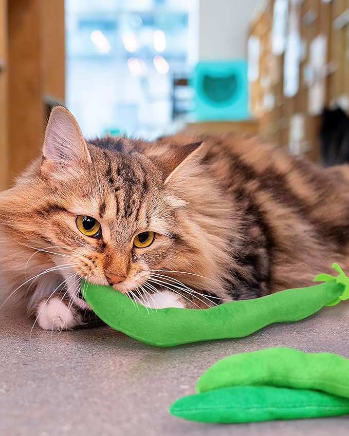 CiyvoLyeen Catnip Toy, Green Bean Cat Toys Kitten Supplies Interactive Kicker Vegetables Vegan Dental Health Teething Chew Gift for Cat Lovers Indoor 4PCS