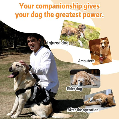 Dog Lift Harness for Large Dogs,Full Body Dog Sling Carrier, Black, XXL | Help Support Big, Elderly Pet with Arthritis, Front/Rear Legs Assistance with Handle, for Lifting Injured Dogs Up Stairs