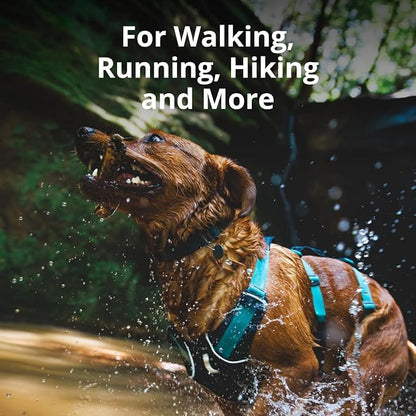 Ruffwear, Flagline Dog Harness, Lightweight and Reflective, No Pull Dog Lift Harness for Hiking, Running and Everyday Use, Lichen Green, X-Small