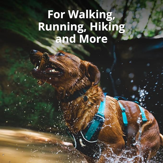 Ruffwear, Flagline Dog Harness, Lightweight and Reflective, No Pull Dog Lift Harness for Hiking, Running and Everyday Use, Sage Green, Large/X-Large