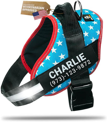 Personalized Dog Harness with Custom Name Patches, Adjustable Reflective No Choke Dog Vest with Handle for Extra Large Dog, Light Blue, XL