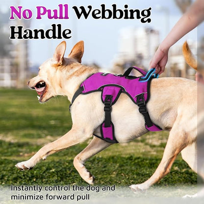 rabbitgoo Escape Proof Dog Harness for Medium, No Pull with Lift Handle | No Escape, Full Soft Padded, Reflective Adjustable Vest, Leash Clip for Walking Hiking Training, Purple, Medium