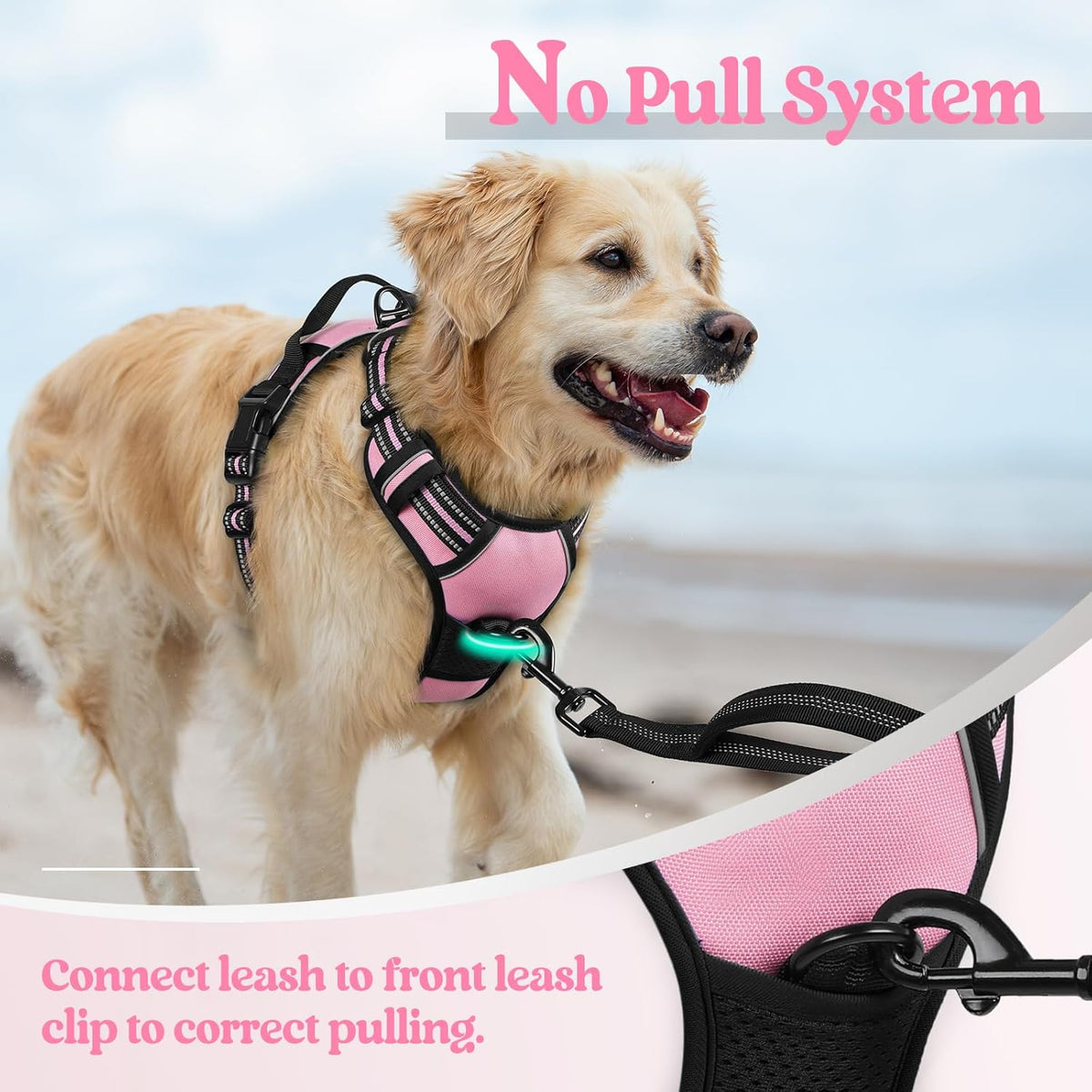 rabbitgoo Dog Harness No Pull with 2 Leash Clips, Adjustable Soft Padded, Reflective Oxford No Choke Pet Vest with Easy Control Handle for Small Dogs, Pink, S