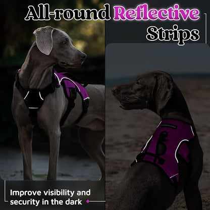 rabbitgoo Escape Proof Dog Harness for Medium, No Pull with Lift Handle | No Escape, Full Soft Padded, Reflective Adjustable Vest, Leash Clip for Walking Hiking Training, Purple, Medium
