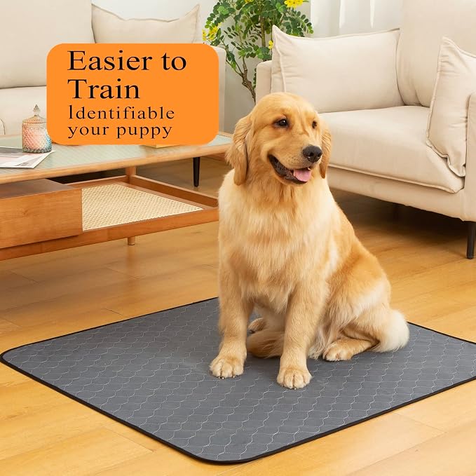 Bunlitent Washable Pee Pads for Dogs 36"x72", 3 Pack, Super Absorbent, Grey | Reusable, Quick Dry, Anti-Slip, Waterproof, Reusable Puppy Pads, Whelping Pads, For Training, Playpen, Incontinence, Large