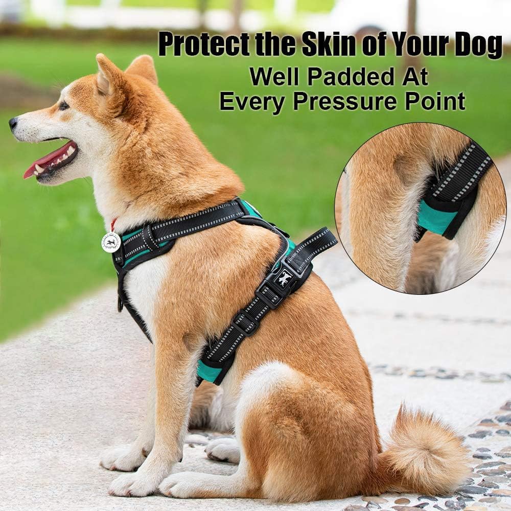 PoyPet No Pull Dog Harness, Reflective Comfortable Vest Harness with Front & Back 2 Leash Attachments and Easy Control Handle Adjustable Soft Padded Pet Vest for Small to Large Dogs (Mint Blue,XS)