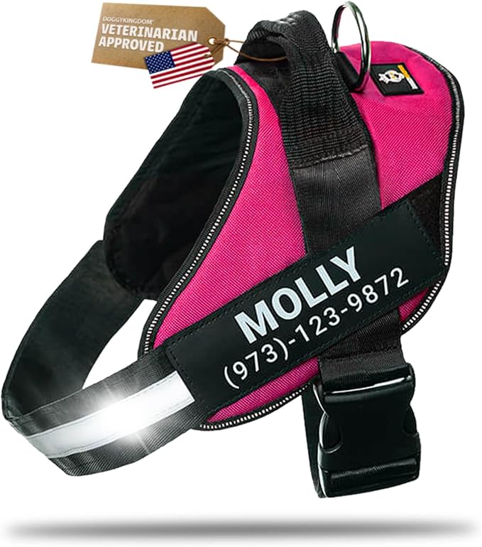 Personalized Dog Harness with Custom Name Patches, Adjustable Reflective No Choke Dog Vest with Handle for Extra Large Dog, Rose Red, XL