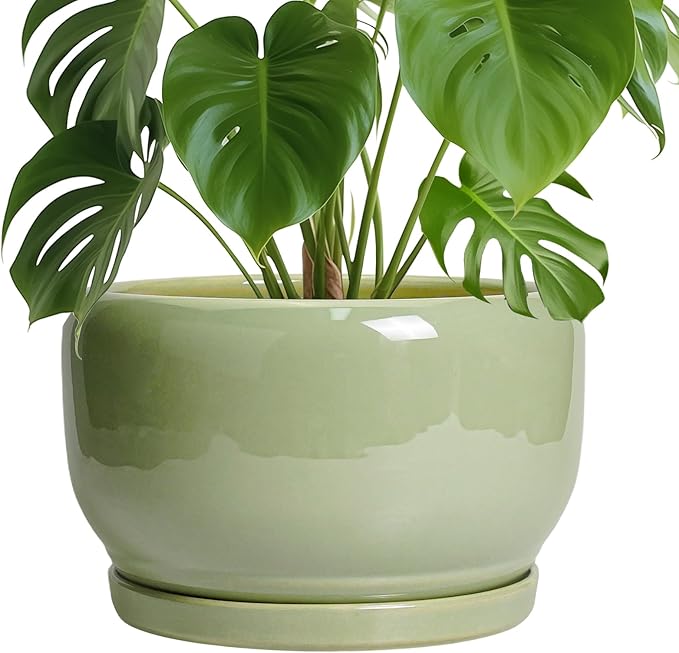 SQOWL Ceramic Planter - 10 Inch Pot for Plants Indoor Outdoor, Round Modern Flower Pot with Drainage Hole and Saucer, Decorative Large Planter, Office Decor, Plant Lovers Gifts, Green