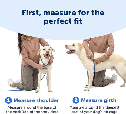 PetSafe Easy Walk Comfort No Pull Dog Harness, Blue, Extra Small | Stops Pulling on First Use with Front Martingale Loop, Full-Body Padding, 5-Point Adjustable Fit