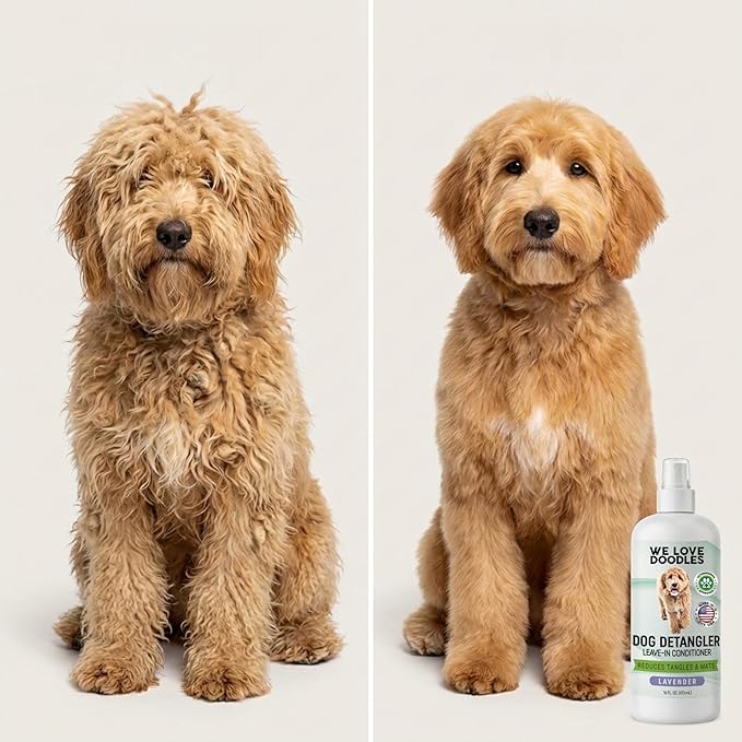 Large Slicker Brush & Lavender Detangler Spray Pack, Dog Grooming at Home | Best Brush For Long Haired Dogs, Dematting Comb & Detangling Spray For Goldendoodle Coats, Puppy Matting Grooming Supplies