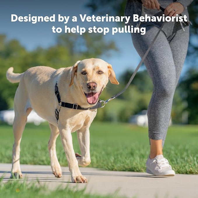PetSafe Easy Walk Harness for Dogs - Pull-Free Walks - Patented Martingale Loop Design - Front Chest Leash Attachment - Adjustable Comfort Straps - Breathable Harness Design - Large, Black/Silver | Patented Martingale Loop Gives Gradual Shoulder Pressu...