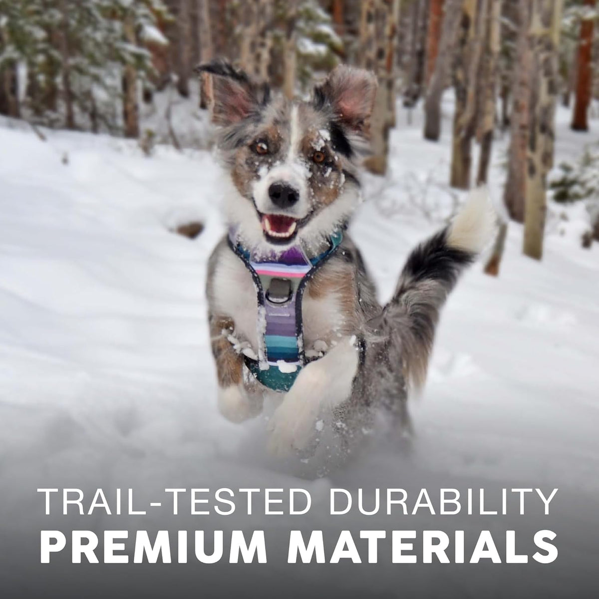Embark Adventure Dog Harness, No-Pull Reflective Trim Dog Harness for Small, Medium & Large Dogs - Heavy Duty Oxford, 2 Leash Clips & Gel Lined Handle. Soft & Padded Puppy Dog Vest for Any Breed