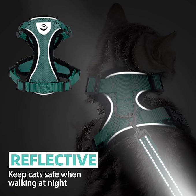 PUPTECK Cat Harness and Leash Set Escape Proof Reflective Cat Walking Harness Adjustable Soft Breathable Mesh Vest for Small Pets, Aquamarine, M