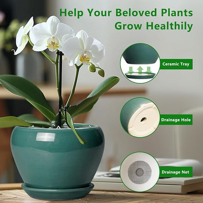 Ceramicfor 8 Inch Plant Pot - Ceramic Planter for Indoor Outdoor Plants, Glaze Modern Round Ceramic Flower Pot with Drainage Hole and Saucer, Gifts for Plant Lover, Home Office Patio Decor, Green