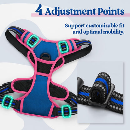 rabbitgoo Dog Harness No Pull with 2 Leash Clips, Adjustable Soft Padded, Reflective Oxford No Choke Pet Vest with Easy Control Handle for Large Dogs, Blue & Hot Pink, L