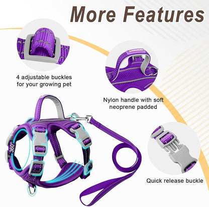 Cat Harness and Leash Set for Walking Escape Proof for Small Large cat Kitten Harness with ID tag Pocket (Purple,XXS)
