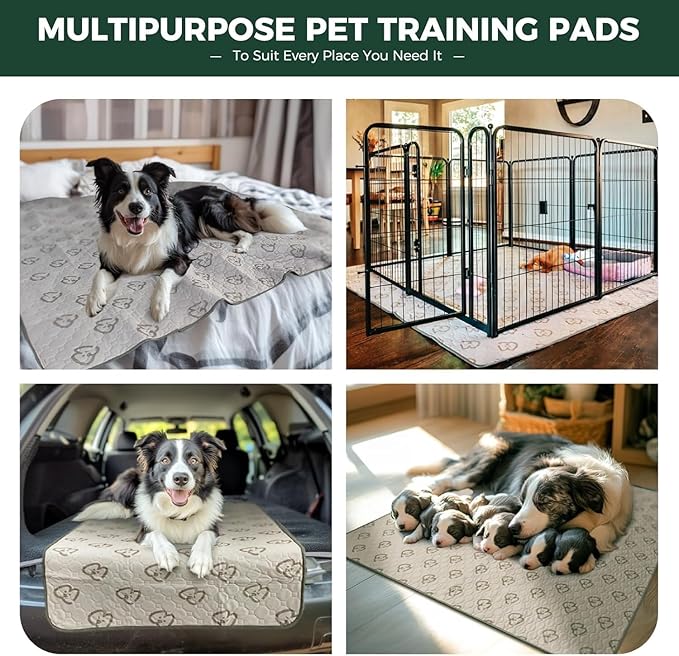 FXW Washable Pee Pads for Dogs, Super Absorbent, 47" Round, 2 Packs | Machine washable, Non-slip backing
